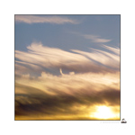 Boutique Cartes (Faire-part) 